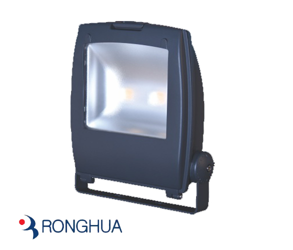 RH533 2x50w LED lighting fixture