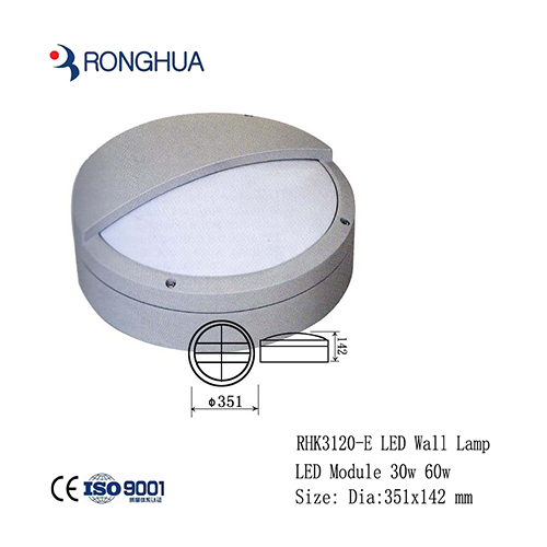 RH2082S 20W