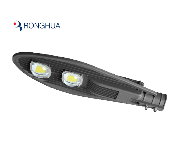 RH751 2 Lens cobra street light